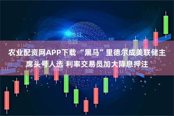 农业配资网APP下载 “黑马”里德尔成美联储主席头号人选 利率交易员加大降息押注